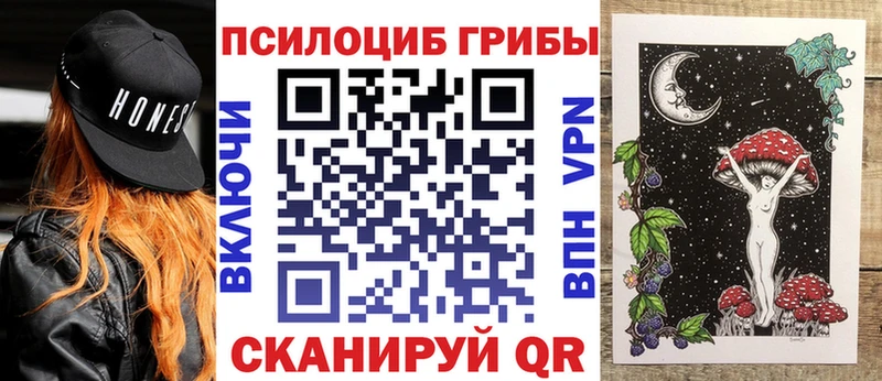 ссылка на мегу онион Вольск Галлюциногенные грибы мицелий