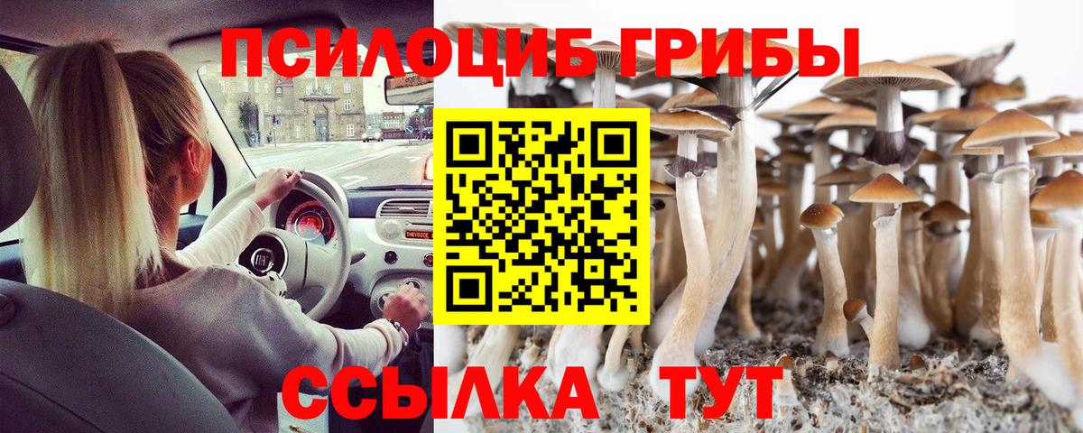 Галлюциногенные грибы Psilocybine cubensis Вольск