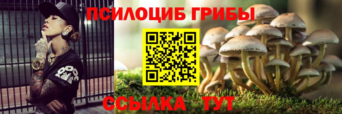Галлюциногенные грибы GOLDEN TEACHER  Вход с VPN  Вольск 